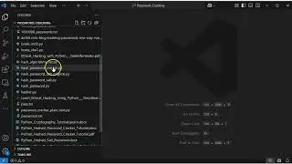 Python Hashed Password Cracker