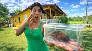 ENCONTREI ALGO NO MEU JARDIM E FUI SURPREENDIDA!! 😱