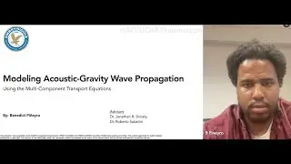 Modeling Acoustic-Gravity Wave Propagation Using the Multi-Component Transport Equations 7.23.25
