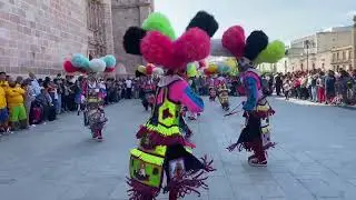 Tadeos en San Juan de los lagos Jalisco 💚