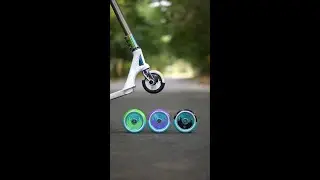 Jon Reyes 120mm Signature wheel colours!