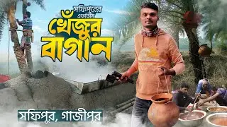 গাজীপুরে ৪০০+ খেঁজুরের গাছসহ রস ও গুড় | Shafipur FDC Khejur Bagan Tour | Gazipur Vlog | Razu Sarker