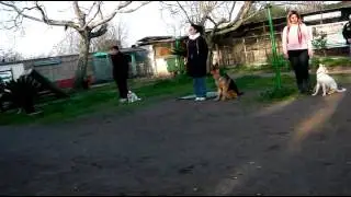 CONTROLLO DEL PREDATORIO