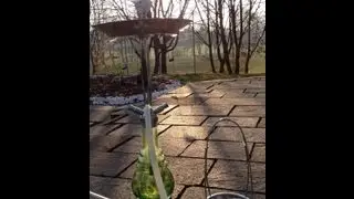 Shisha / Hookah: Nargilem NPS Ultimate Convex Vorstellung!