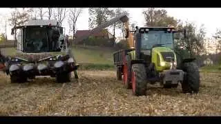 Kukurydza 2014 / Claas Arion & Tucano / New Holland
