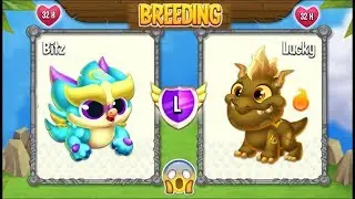 Dragon City: New Wind Dragon vs Terra Dragon [EXCLUSIVE BREEDING] 😱