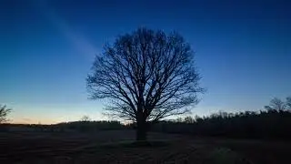 Promo video for Image Theory Live