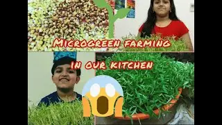 #Microgreen/easy farming/ Kitchen/healthy vegetables/protein/fiber food/DD Crafts and Gallery