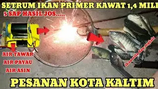 cara merakit setrum ikan nila primer kawat 1,4 mili hasil jos