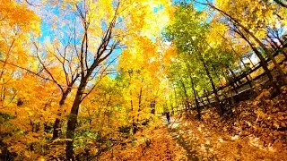 Minneapolis in 360: Fall Colors on the Winchell Trail off of West River Parkway.