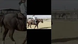 Midas Reese brushing, opening gate, riding, getting on and off    Made with Clipchamp