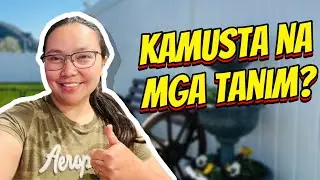 Kamusta Na Ba Sila? (Garden Update) | Filipino Family in USA | Filipino Nurses in America | USRN