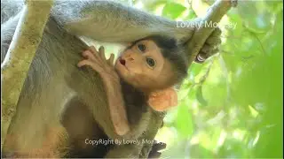 OMG! Baby Rex Was Kidnapped By Anita From This Morning. Why Mom Rose Allow Anita Kidnapped Baby?