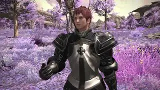 Final Fantasy XIV No Greater Sport