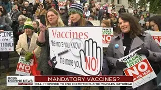 Should Facebook Crack Down On Anti-Vaccination Groups?