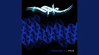 Ma paire de baskets
