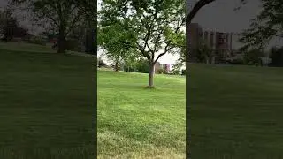 #westmont