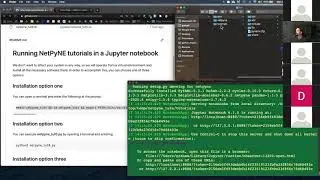 NetPyNE Tutorial 1: Virtual environments, Jupyter notebooks, and NetPyNE basics