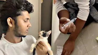 Kya Meri Cat Bach Payegi Aaj? 😰