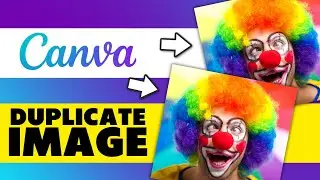 How to Duplicate an Image in Canva