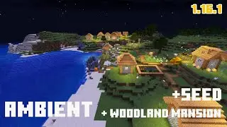 Ambient Night in Village / Minecraft 1.16.1 + Woodland Mansion + Seed