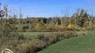 Real estate for sale in Addison Twp Michigan - 211076484
