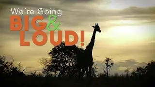 Join The Big & Loud Campaign!