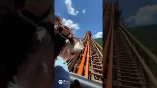 Daisy Rides Lightning Rod 🎢🐶 #DaisyTheDog #Dollywood #DogShorts #Viral