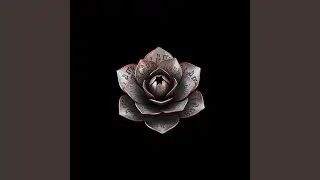 IRON BLOOM