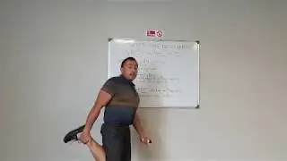 Difference Between Static, Dynamic and PNF Stretching