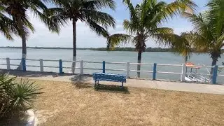 CIDADE DE SOURE,PÁ CAPITAL DO MARAJÓ 