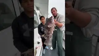 Blackfish on the Black Hawk