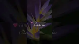 new lovely song status story original background divyansh #shortsfeed #shorts #shortvideo #love