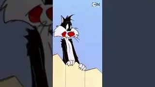Cat vs Dog | Looney Tunes on Cartoon Network Asia #shorts