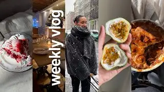 Weekly vlog: Double layer pavlova, beef pot pie & more recipe testing updates