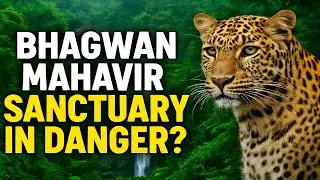 Bhagwan Mahavir Sanctuary in Danger? Shocking Truth About India&rsquo;s Wildlife Paradise