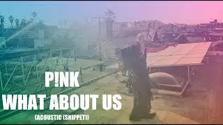 P!nk - What About Us (Acoustic (Snippet))