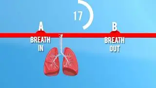 Unlock your potential: the power of breath holding exercises for everyone