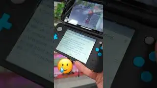 Playing 3DS Online on the LAST Day 🥲