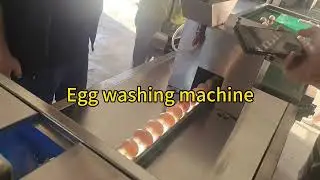 Chicken and duck egg cleaning machine#Egg washing machine#Chicken and duck egg cleaning,
