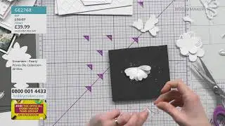 HobbyMaker Live