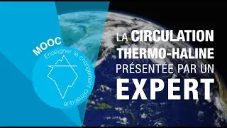Les courants oc&eacute;aniques - La circulation thermohaline pr&eacute;sent&eacute;e par un expert
