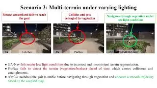 AMCO: Adaptive Multimodal Coupling of Vision and Proprioception for Quadruped Robot Navigation