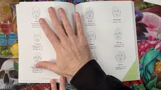 The 12 Head Shapes Explained (Beginner Drawing Guide)