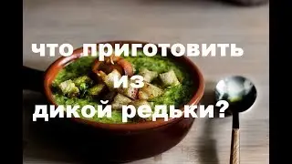 Пряности и специи. ДИКАЯ РЕДЬКА (СВЕРБИГА).