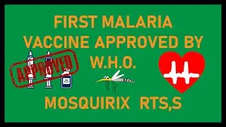 Malaria Vaccine: The First Approved by the World Health Organization (W.H.O.)