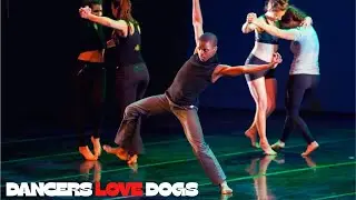 Dancers Love Dogs Artscape by Bridgette Reeve -Tailor