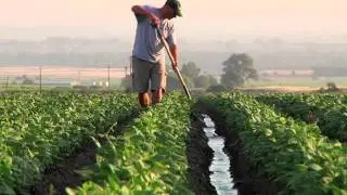 Executive Productions-Sample Scenic Shots