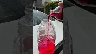 Lavando el auto #detalladoautomotriz #detailing