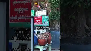 ကျိုက်ထီးရိုးဘုရားမှာ စည်းကမ်းမဲ့ အလှူခံတွေကို ရှင်းထုတ်လိုက်ပါပြီ
